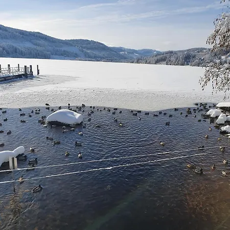 Kubens Apartman Titisee-Neustadt