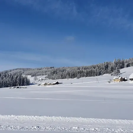 Kubens Appartement Titisee-Neustadt