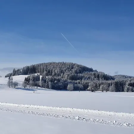 Appartement Kubens Titisee-Neustadt